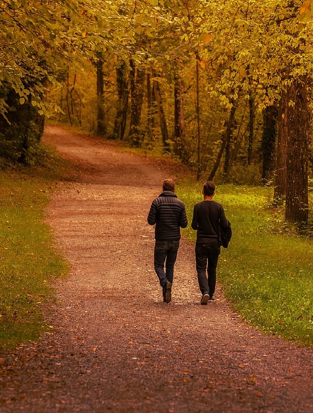 Webseitenbild Männer Wald Gespräch